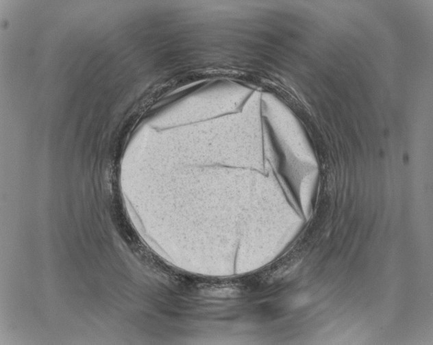 X0000064750643200603131344