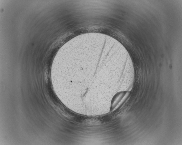 X0000064750644200603131344