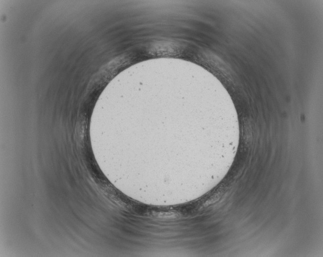 X0000064750645200603131344