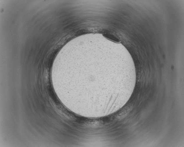 X0000064750646200603131344