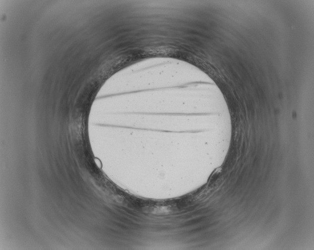 X0000064750647200603131344