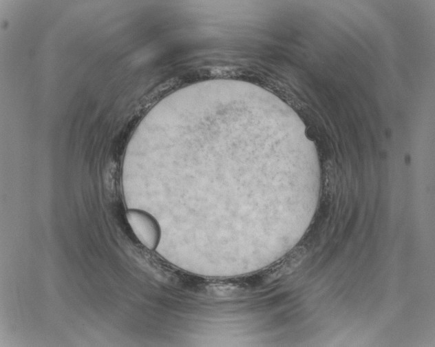 X0000064750650200603131344