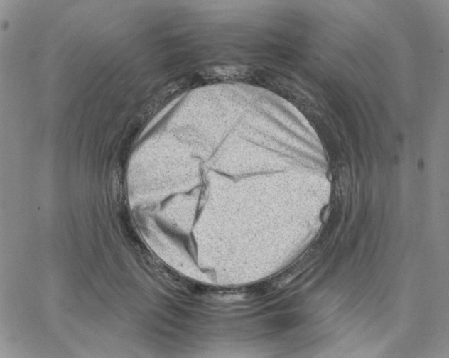 X0000064750651200603131344