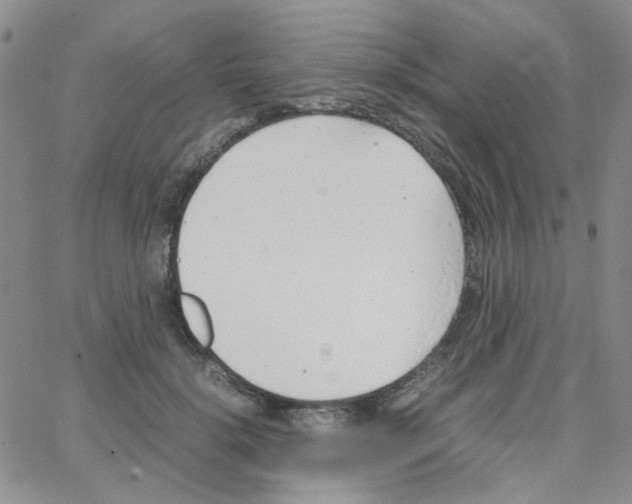 X0000064750652200603131344