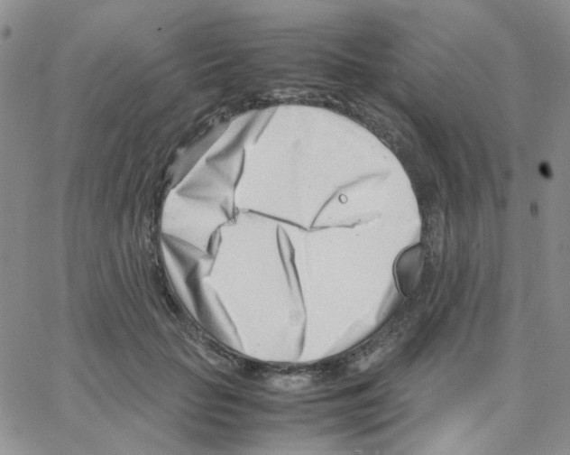 X0000064750653200603131345