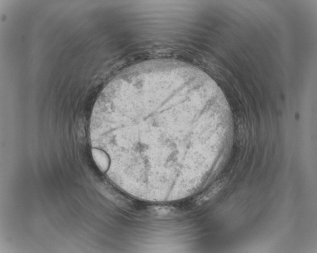 X0000064750654200603131345