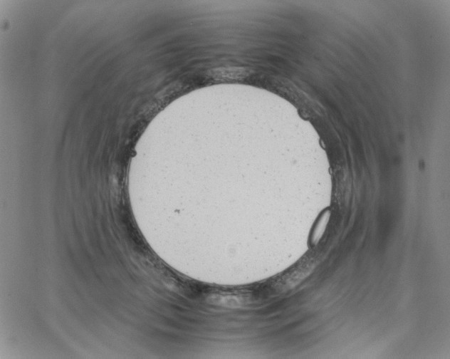 X0000064750655200603131345