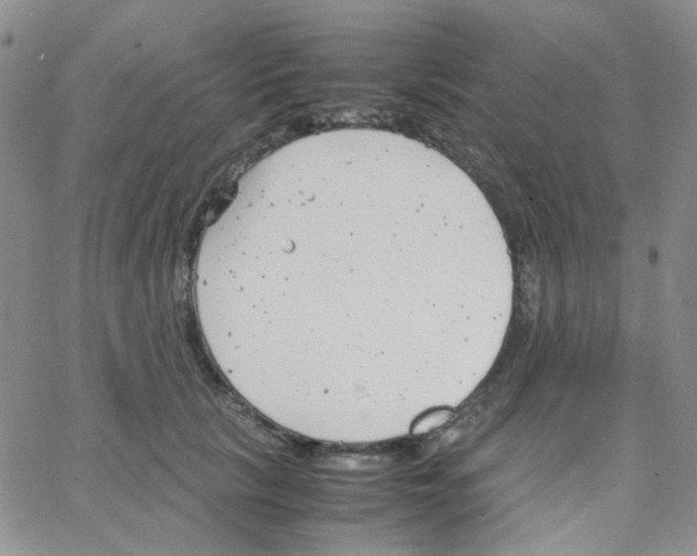 X0000064750657200603131345