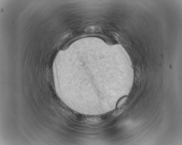 X0000064750659200603131345