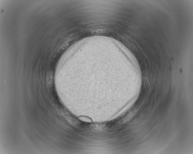 X0000064750660200603131345