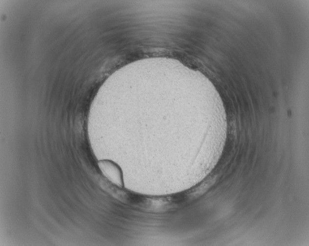 X0000064750662200603131345