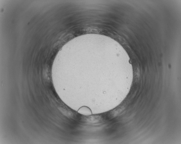 X0000064750663200603131345