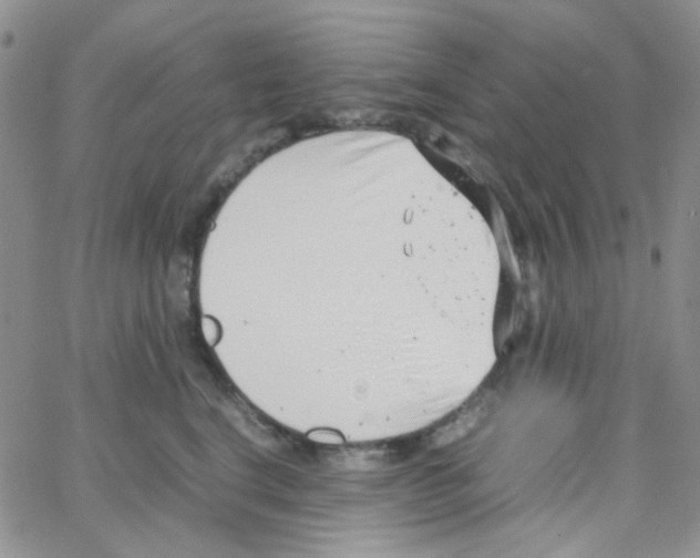 X0000064750664200603131345