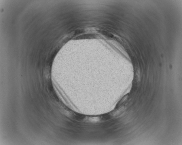 X0000064750665200603131345