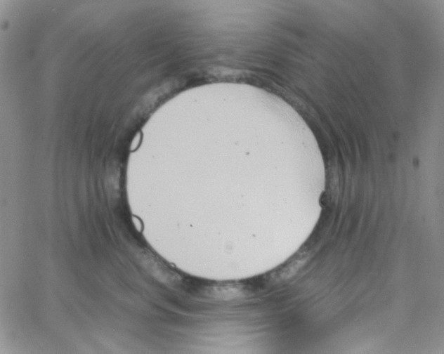 X0000064750668200603131345