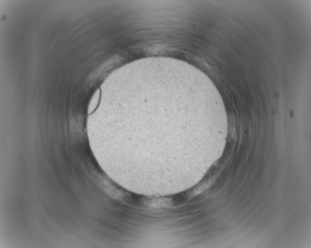 X0000064750670200603131345