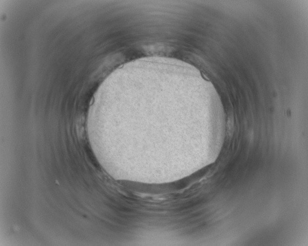 X0000064750671200603131345