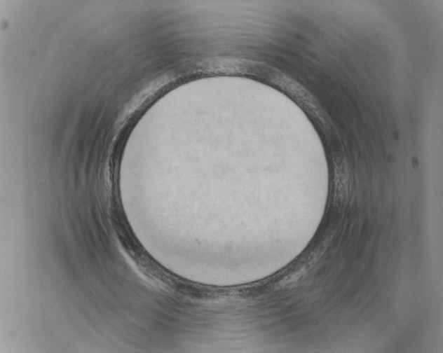 X0000064750674200603131344