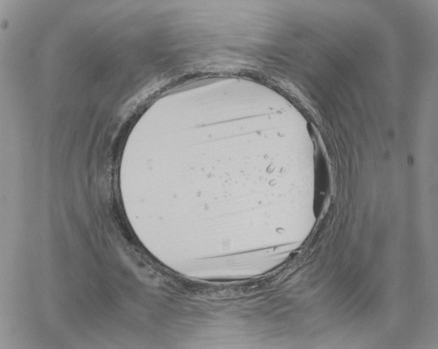 X0000064750675200603131344