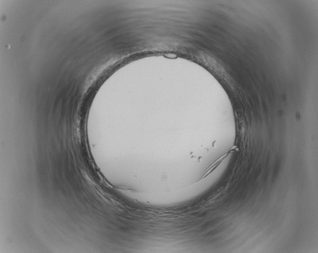 X0000064750676200603131344