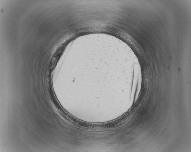 X0000064750677200603131344