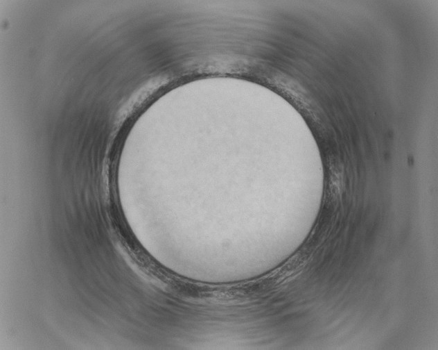 X0000064750678200603131344