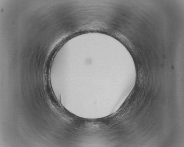 X0000064750680200603131344