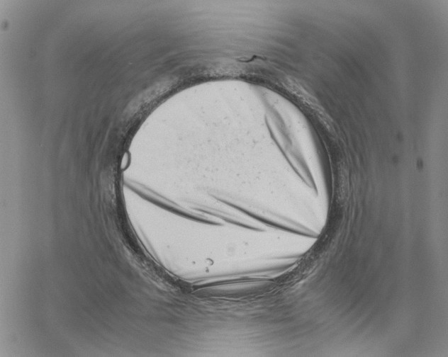 X0000064750681200603131344