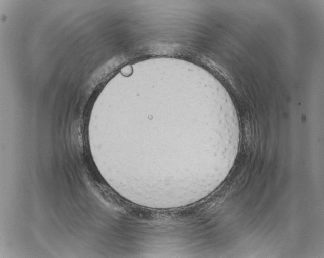 X0000064750682200603131344