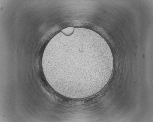 X0000064750683200603131344