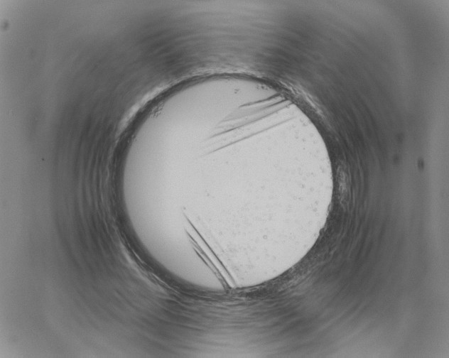 X0000064750684200603131344