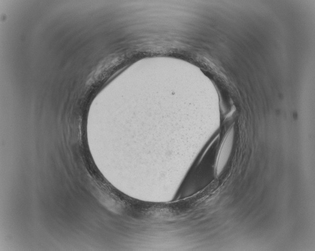 X0000064750685200603131344