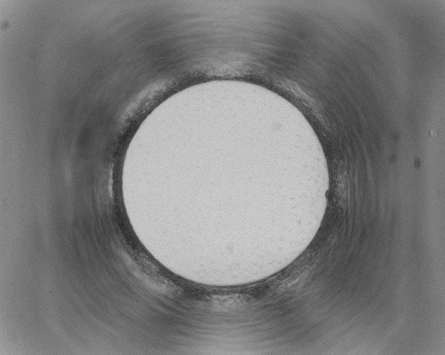 X0000064750686200603131344