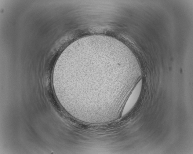 X0000064750687200603131344