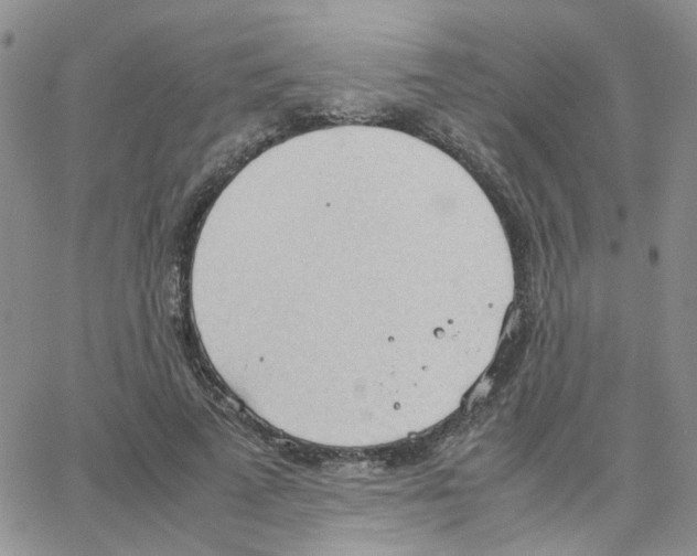 X0000064750689200603131344