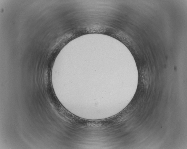 X0000064750690200603131344