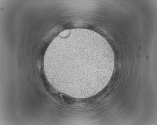 X0000064750691200603131344