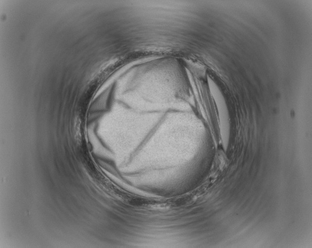 X0000064750692200603131344