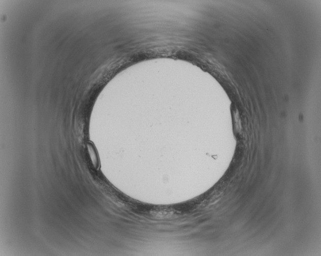 X0000064750693200603131344