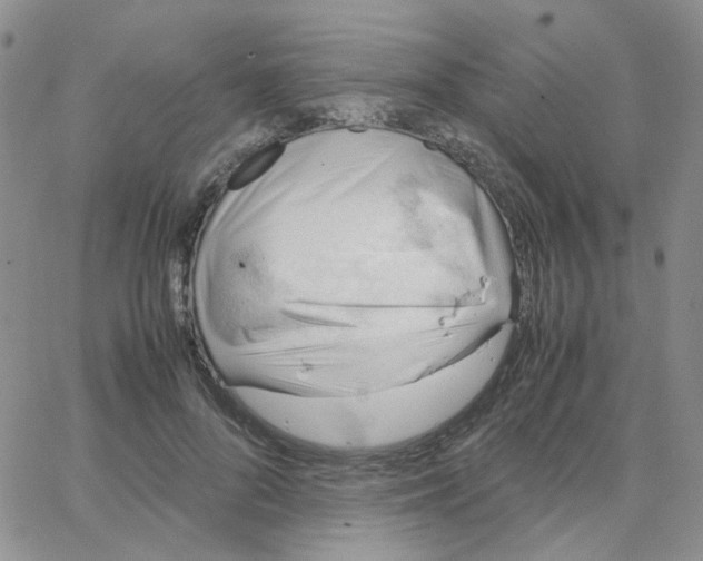 X0000064750696200603131344