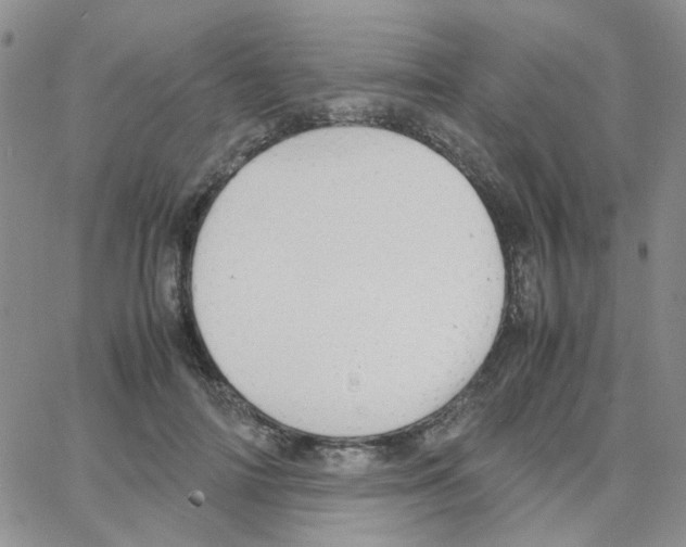 X0000064750698200603131344