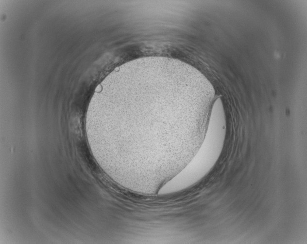 X0000064750699200603131344