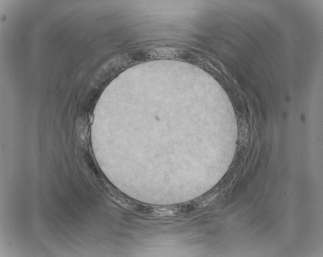 X0000064750701200603131344