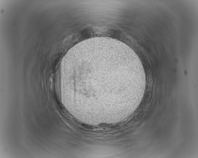 X0000064750703200603131344