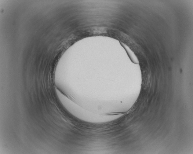 X0000064750704200603131344