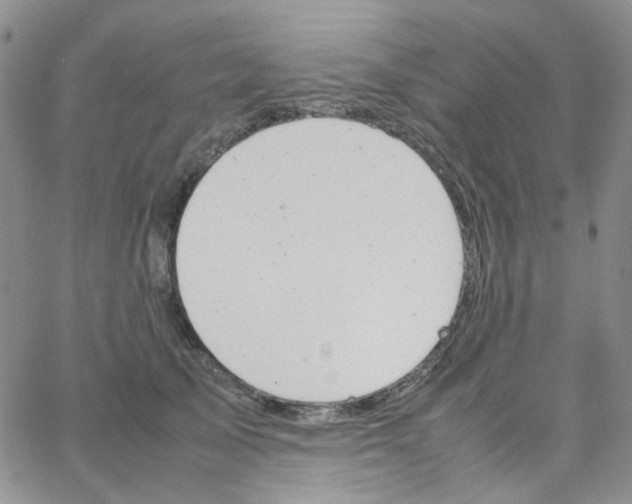 X0000064750705200603131344