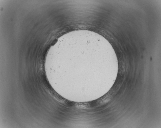 X0000064750706200603131344