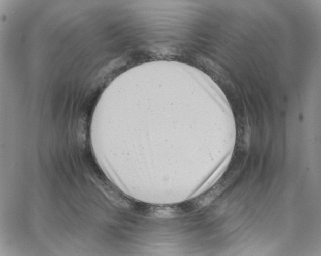 X0000064750710200603131343