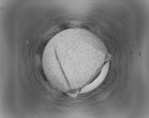 X0000064750711200603131343