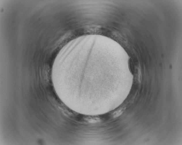 X0000064750712200603131343